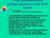 Makroekonomikos pusiausvyra 11 puslapis