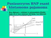 Makroekonomikos pusiausvyra 13 puslapis