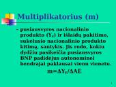 Makroekonomikos pusiausvyra 17 puslapis
