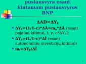 Makroekonomikos pusiausvyra 19 puslapis