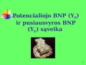 Makroekonomikos pusiausvyra 20 puslapis