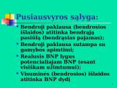 Makroekonomikos pusiausvyra 5 puslapis