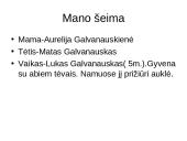 Mano šeimos biudžetas - projektas 2 puslapis