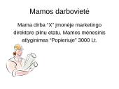 Mano šeimos biudžetas - projektas 3 puslapis