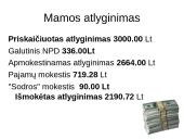 Mano šeimos biudžetas - projektas 4 puslapis