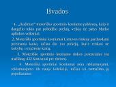 Marketingo priemonių planas: moteriškas sportinis kostiumas AB "Audimas" 10 puslapis