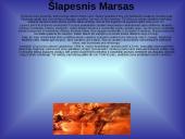 Marsas ir jo palydovų ypatybės 14 puslapis