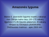 Marsas ir jo palydovų ypatybės 8 puslapis