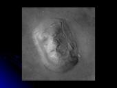 Marsas ir Marso charakteristika 10 puslapis