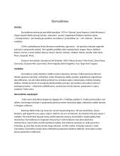 Siurrealizmo menas  2 puslapis