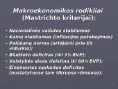 Mastrichto kriterijai 2 puslapis