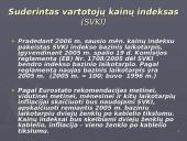 Mastrichto kriterijai 17 puslapis