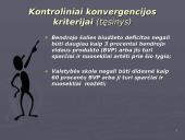 Mastrichto kriterijai 4 puslapis