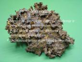 Mažųjų saulės sistemos kūnų tipų apžvalga 10 puslapis