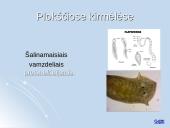 Medžiagų apykaitos produktų šalinimas organizmuose 11 puslapis