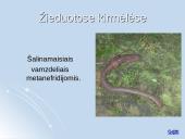 Medžiagų apykaitos produktų šalinimas organizmuose 12 puslapis