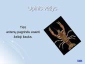 Medžiagų apykaitos produktų šalinimas organizmuose 13 puslapis