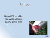 Medžiagų apykaitos produktų šalinimas organizmuose 16 puslapis