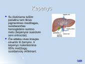 Medžiagų apykaitos produktų šalinimas organizmuose 17 puslapis