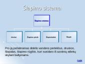 Medžiagų apykaitos produktų šalinimas organizmuose 20 puslapis