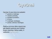 Medžiagų apykaitos produktų šalinimas organizmuose 5 puslapis