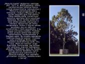 Mėnulis ir jo nematoma pusė 13 puslapis