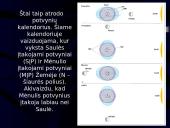 Mėnulis ir jo nematoma pusė 4 puslapis