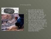 Mikroorganizmų paplitimas Žemėje 12 puslapis