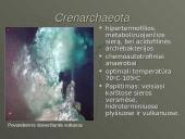 Mikroorganizmų paplitimas Žemėje 8 puslapis