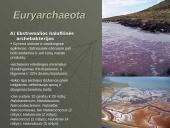 Mikroorganizmų paplitimas Žemėje 10 puslapis