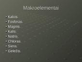 Mineralinės medžiagos - makroelementai ir mikroelementai 2 puslapis