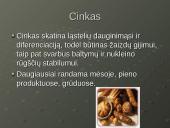 Mineralinės medžiagos - makroelementai ir mikroelementai 11 puslapis