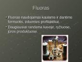 Mineralinės medžiagos - makroelementai ir mikroelementai 12 puslapis