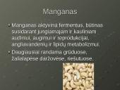 Mineralinės medžiagos - makroelementai ir mikroelementai 13 puslapis
