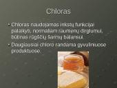 Mineralinės medžiagos - makroelementai ir mikroelementai 5 puslapis