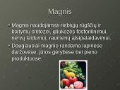 Mineralinės medžiagos - makroelementai ir mikroelementai 6 puslapis