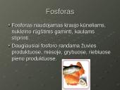 Mineralinės medžiagos - makroelementai ir mikroelementai 7 puslapis