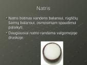 Mineralinės medžiagos - makroelementai ir mikroelementai 8 puslapis