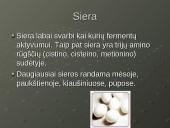 Mineralinės medžiagos - makroelementai ir mikroelementai 9 puslapis