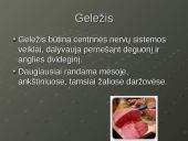 Mineralinės medžiagos - makroelementai ir mikroelementai 10 puslapis