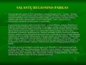 Miškai ir miškų sodinimas 13 puslapis