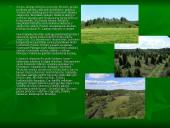 Miškai ir miškų sodinimas 14 puslapis