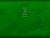 Miškai ir miškų sodinimas 15 puslapis