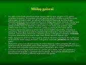 Miškai ir miškų sodinimas 3 puslapis