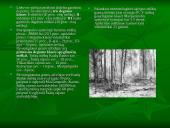 Miškai ir miškų sodinimas 4 puslapis