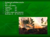 Miškai ir miškų sodinimas 6 puslapis