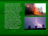 Miškai ir miškų sodinimas 8 puslapis