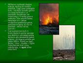 Miškai ir miškų sodinimas 9 puslapis