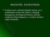 Moliuskų rūšys 11 puslapis