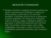 Moliuskų rūšys 14 puslapis